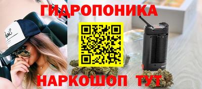 2c-b Можга